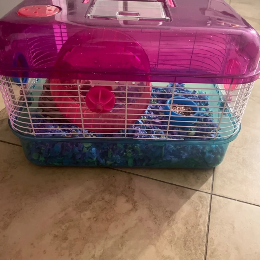 hampster cage